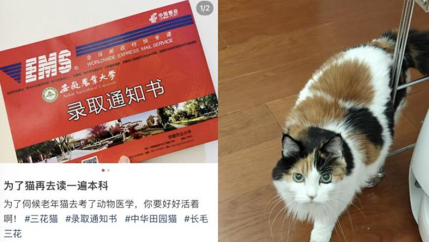 90后干部挂职副县长删履历难消质疑,2025白小姐一肖一码今晚开奖,公开决策资料解释落实_体验版V11.40