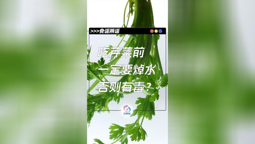 央视曝直播间廉价纯羊绒真相,澳门今晚必中四不像今天,机构预测与落实方法揭秘_HarmonyOSV6.54