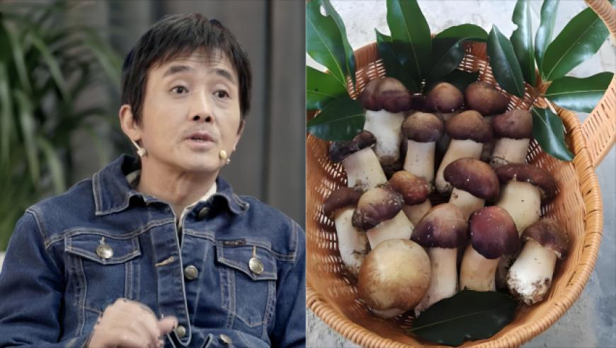 今天新澳门开奖结果直播视频下载大全最新,双胞胎宝宝裹着保护衣被取出,成语解释落实可能存在的问题_粉丝版V5.13