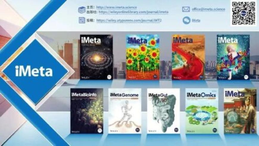 澳门资料王中王资料大全枓大全王中王,五福临门大结局,创造力策略实施推广_高清版V9.40