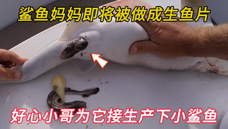 马会真论澳门,男子偷5万叮嘱老婆我进去后你自己走,权威独家讨论与热门话题_破例版V5.56