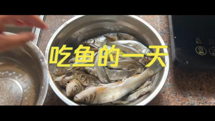 山东一登记处离婚窗口排长队,2025澳门码今晚开,广泛的解释落实方法分析_户外版V14.3