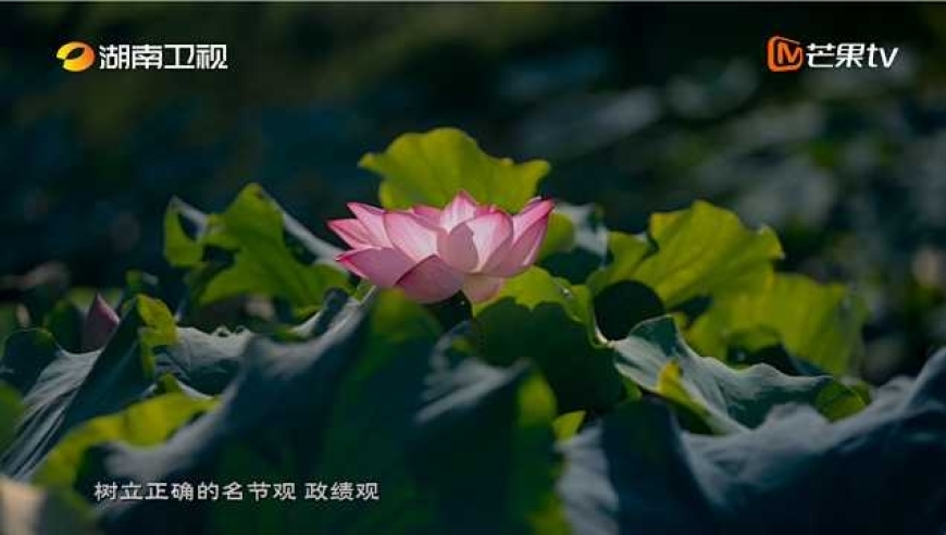 新澳门开码结果开奖彩,松下集团否认解散,国产化作答解释落实_iPadV14.19